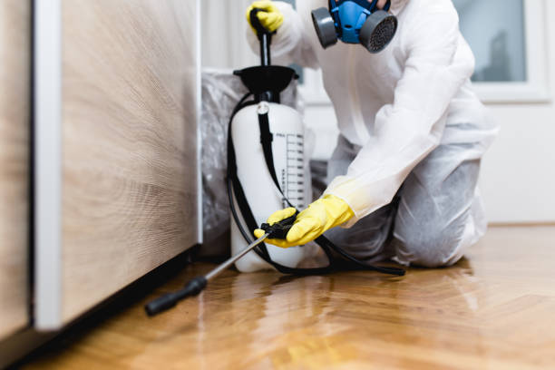Best Pest Inspection Near Me  in Ranchos De Taos, NM