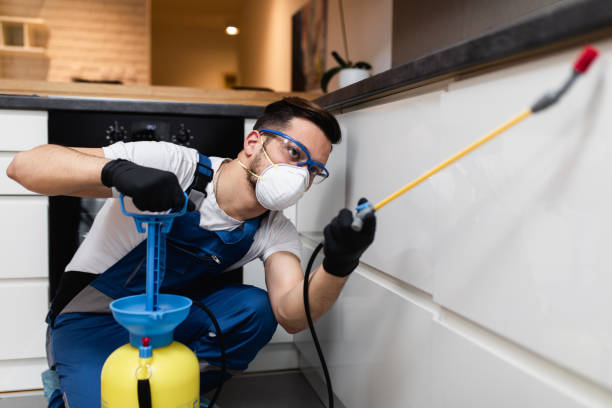 Best Exterminator Services  in Ranchos De Taos, NM