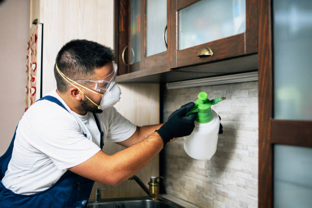 Ranchos De Taos, NM Pest Control Company