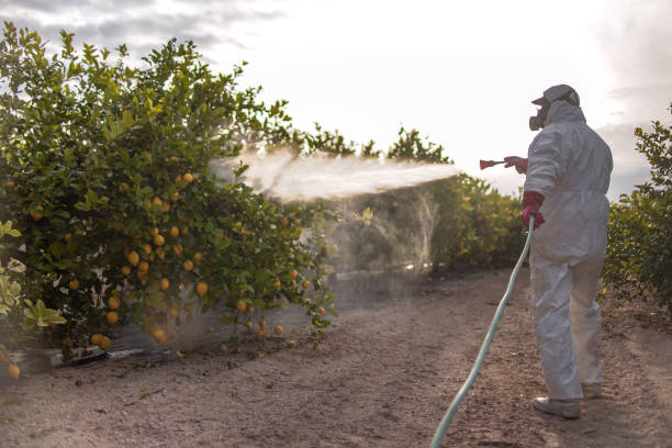 Best Best Pest Control Companies  in Ranchos De Taos, NM